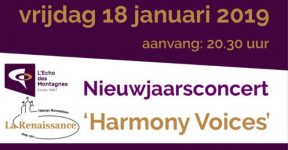 Nieuwjaarsconcert website